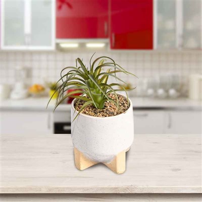 Best Fake Succulents